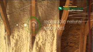 Spray Foam Insulation, Insulation Contractor in Seattle