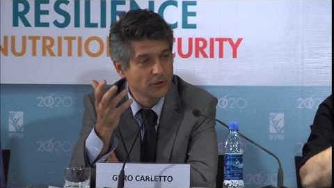 Side Event - Gero Carletto on Components of a Measurement Framework for Resilience