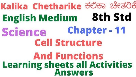 8thst| Cell - Structure And Functions|Learning sheets activities answers Science Chapter 11