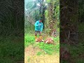 ২ ফলের বটা কেটে ৪০ টাকা ইনকাম করলাম #reels #viral #video #foryou