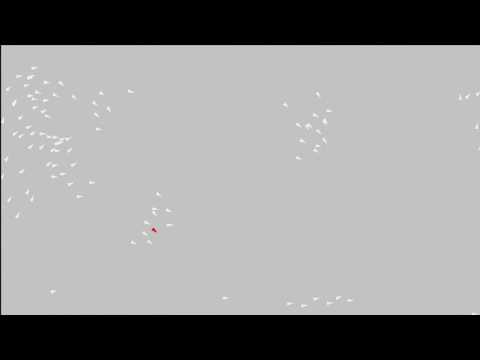 First Boid Recording using Unity 2D