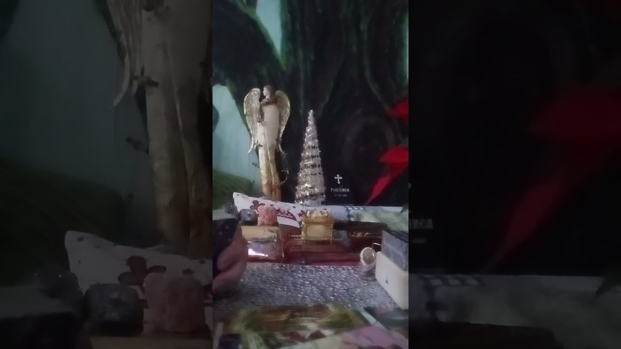 A TREI PERSOANA ESTE SCOSA AFARA DE SARBATORI.