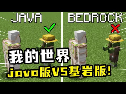 我的世界：Java版村民睡觉非常真实，基岩版村民睡觉突然鬼畜