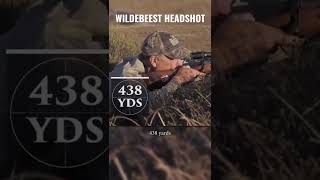 500+ Yard Wildebeest Headshot #highroadhunting
