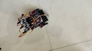 rogic programación condicional evidencia 3 equipo 3
