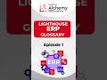 Lighthouse ERP Glossary – 5 Must-Know Terms for Beginners (Part 1)