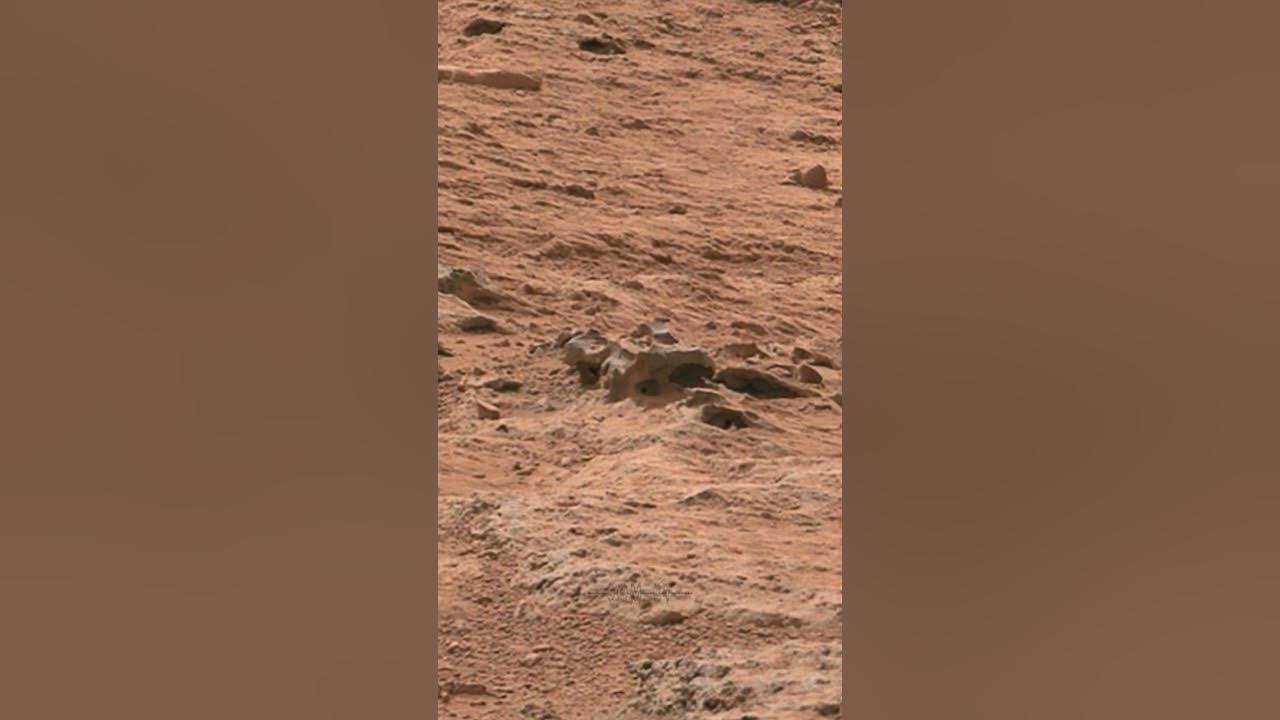 OVD Mars Mission