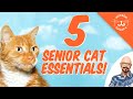 5 Senior Cat Essentials!