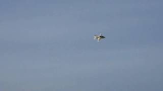 Jon's Windrider BD-5 Fly Bys