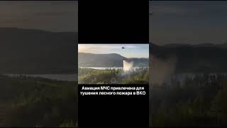 Пожар в Аюде.#пожар
