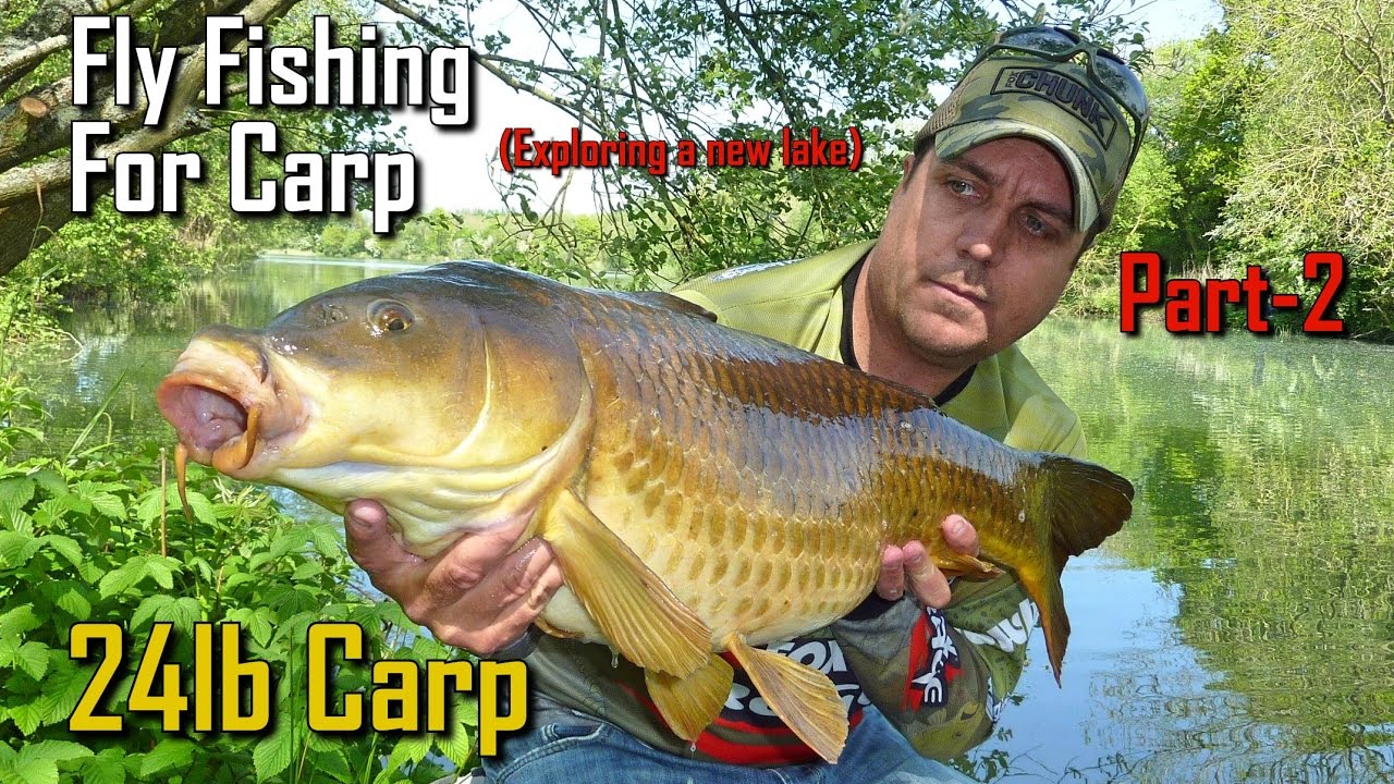 Fly fishing for Carp Part 2 (My biggest Carp on a fly)) YouTube