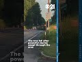 Storm causes tree to fall, blocking roadway in Perry County, Pennsylvania