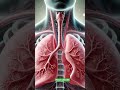 श्वसन तंत्र | Respiratory System | Anatomy and Physiology | Lungs | Trachea | Alveoli | Respiration