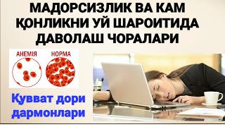 QUVVAT VA MADOR BERADIGAN DAVO CHIRALARI UY SHAROITIDA QONNI KO'PAYTIRISH / IMMUNITETNI KO'TARISH QUVVAT VA MADOR BERADIGAN DAVO CHIRALARI UY SHAROITIDA QONNI KO'PAYTIRISH / IMMUNITETNI KO'TARISH