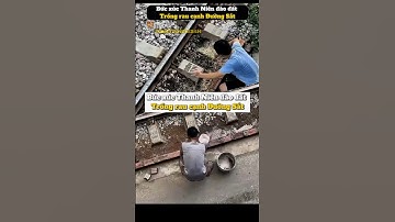 Bức xúc Thanh niên bới Đường Tàu trồng rau  #tintuc #cuocsong #xahoi