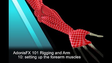 AdonisFX Tutorials 101 - Rigging an Arm - 10: Setting up the forearm muscles (version 1.4)