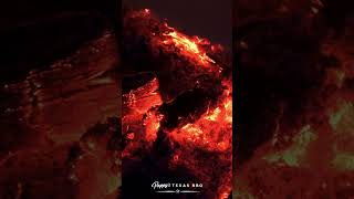 Pappy s Texas BBQ Real Texan Smokehouse in the UK Brisket Journey