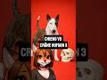Quel chien croque ton crâne ? #chiens #animaux #insolite #force #shorts