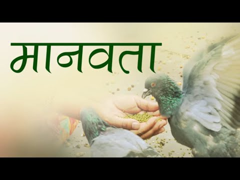 वीडियो: फंडेशन शब्द का क्या अर्थ है?