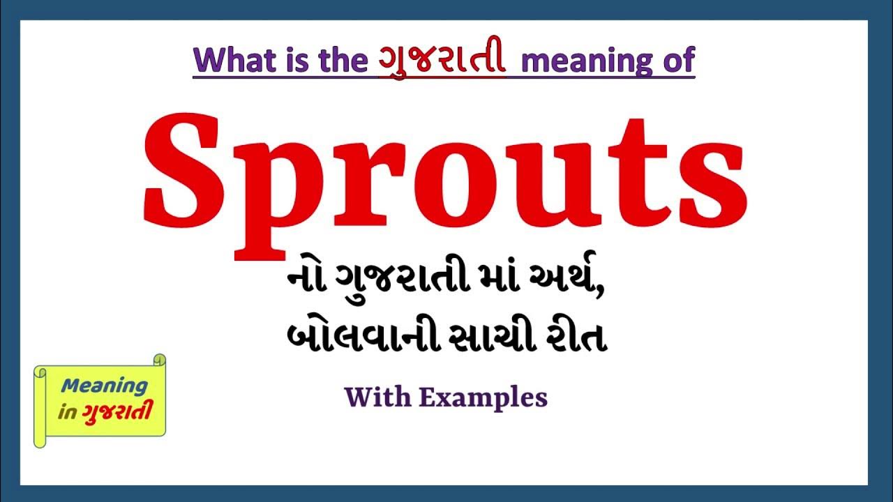 Sprouts Meaning in Gujarati Sprouts નો અર્થ શું છે Sprouts in