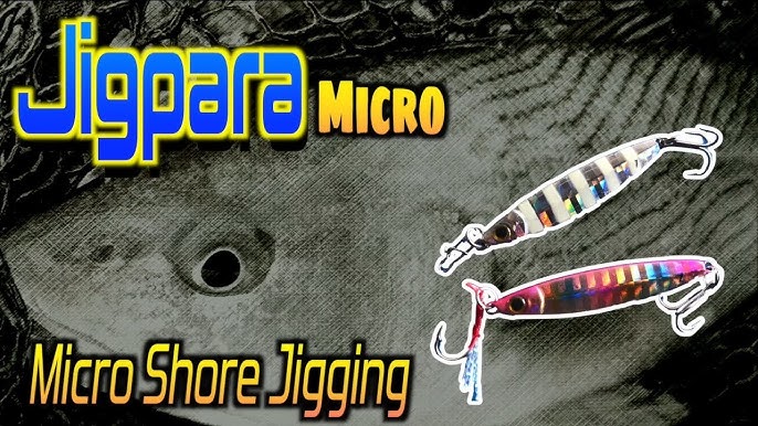 FSTK Micro Metal Jig 3g 7g 10g 15g Shore Casting Jigging lure