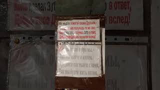 Формула Справедливости в стихах #счастье #экопоселение #леснойгородок #корова #животные #моялошадь