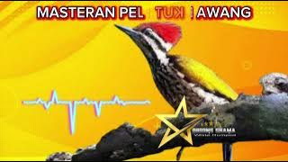 MASTERAN PELATUK BAWANG 30 MENIT