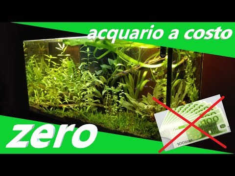 Video: Alternative economiche per l'installazione di un acquario