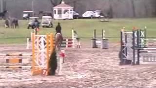Braveheart CBF Mel - First Show - Training Jumpers 05/07/14