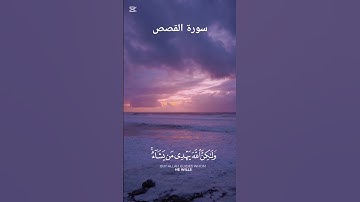 سورة القصص #quran #اكسبلور أكتب شيء تؤجر عليه