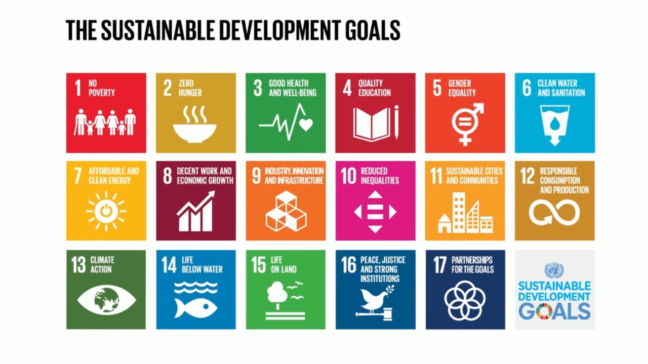 Take Action for the Sustainable Development Goals - United Nations  Sustainable Development