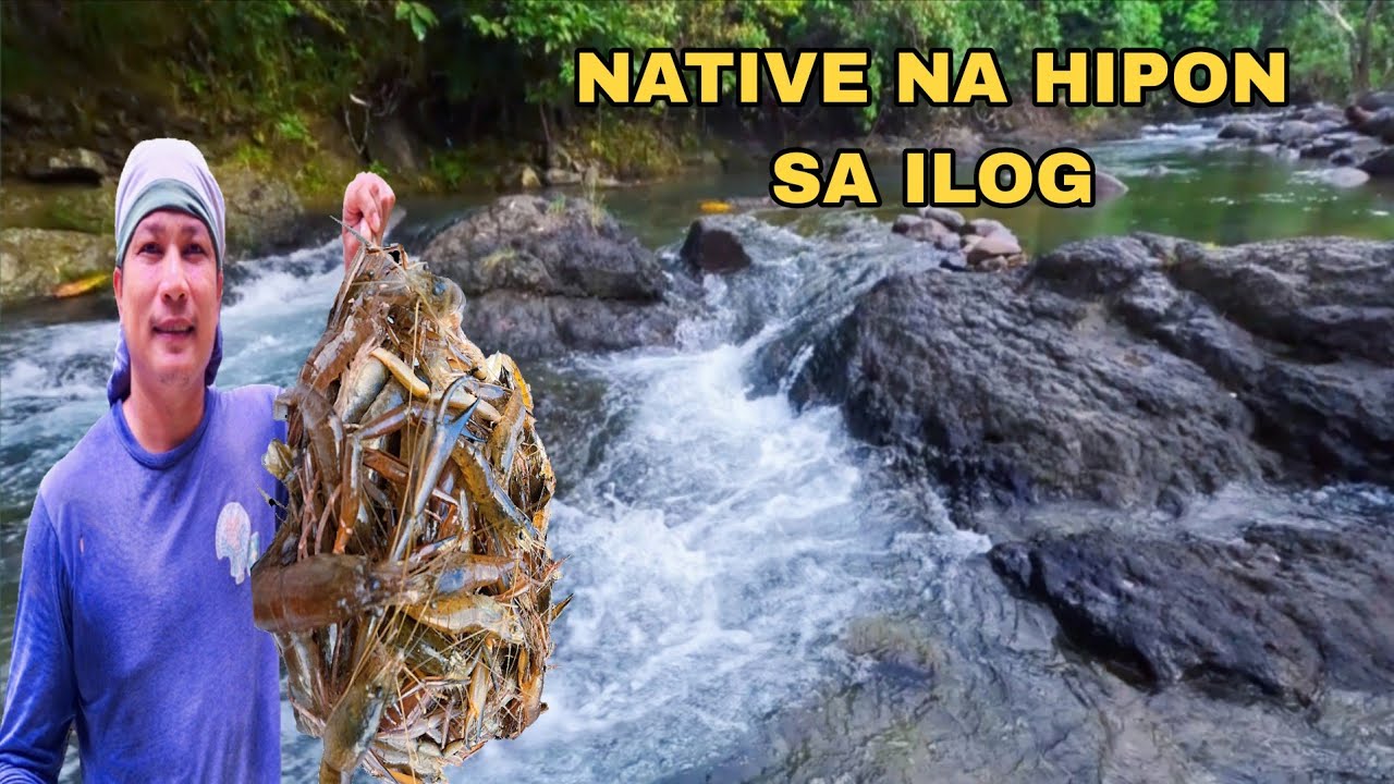 WALANG UBOS ANG NATIVE HIPON AT KATANG SA ILOG TAGKAWAYAN QUEZON 