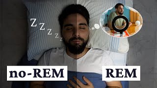 What are REM and nonREM sleep? | sleep phases