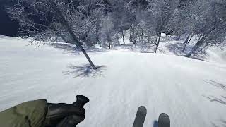 Skiing physics showcase