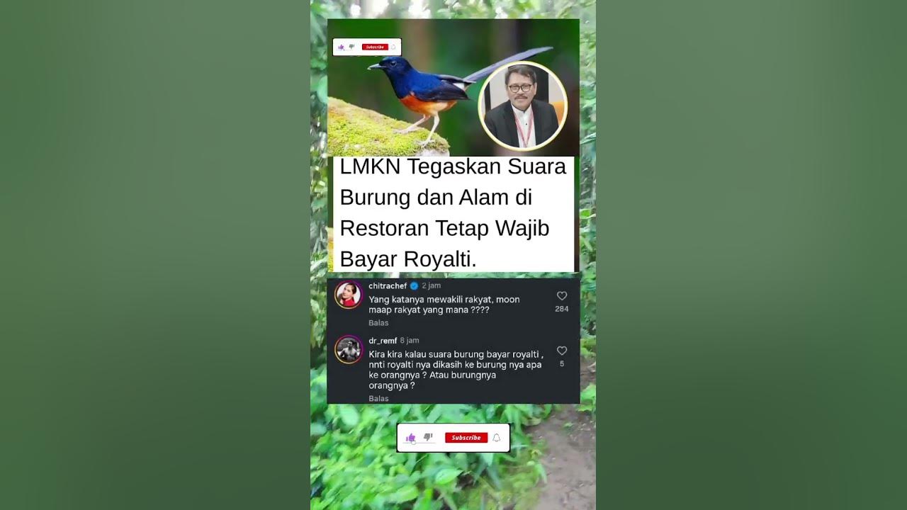 SUARA BURUNG DAN ALAM JUGA KENA ROYALTI #shorts #viralvideo