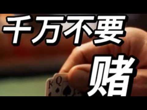 赌博｜老高与小茉