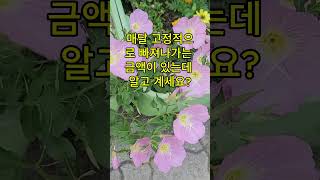 며느리가 시댁 돈 훔쳐갔습니다. 제가 가만있을줄 알았나요? #유튜브쇼츠 #사이다복수 #시어머니사이다 #며느리갑질