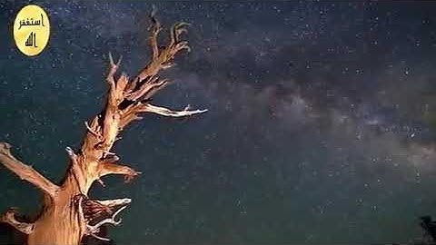 سورة يس القارئ أحمد سعيد العمراني بصوت روعة