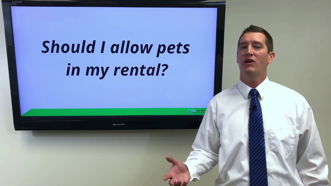 Should i allow pets in my rental? YouTube