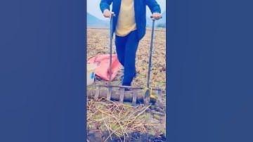 unique agricultural tool for loosening soil in fields #shorts