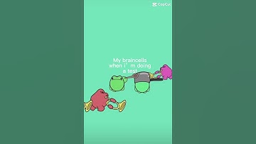 Pov: your last brain cells during a test