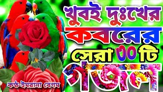 খুবই দুঃখের কবরের শেষ বিদায়ের মায়াবী কন্ঠে মন প্রাণ জুড়ানো ৩০টি গজল।আমার প্রান পাখিরে তুমি