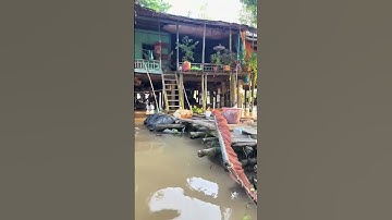 Miền tây mùa nước nổi ( An giang )