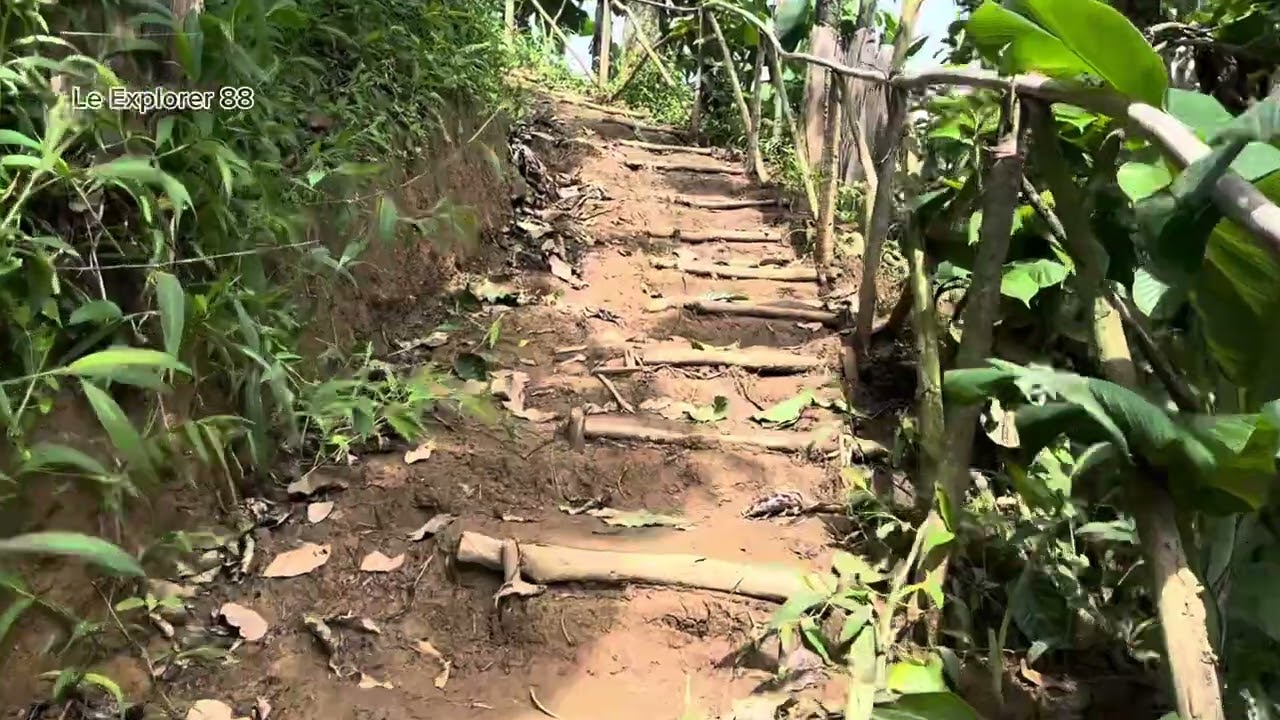 POV : Trekking Gunung Pancaniti 845 MDPL