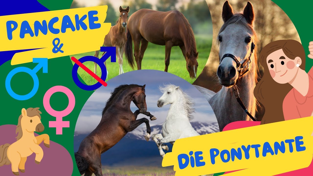 🐴 Stute, Hengst oder Wallach? 🤔 Pferdewissen für Kinder – einfach erklärt!