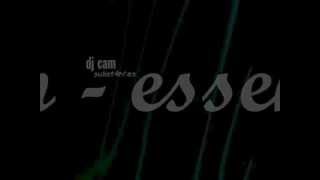 DJ Cam - Essence, Parts 1 to 6 (Substances Album)