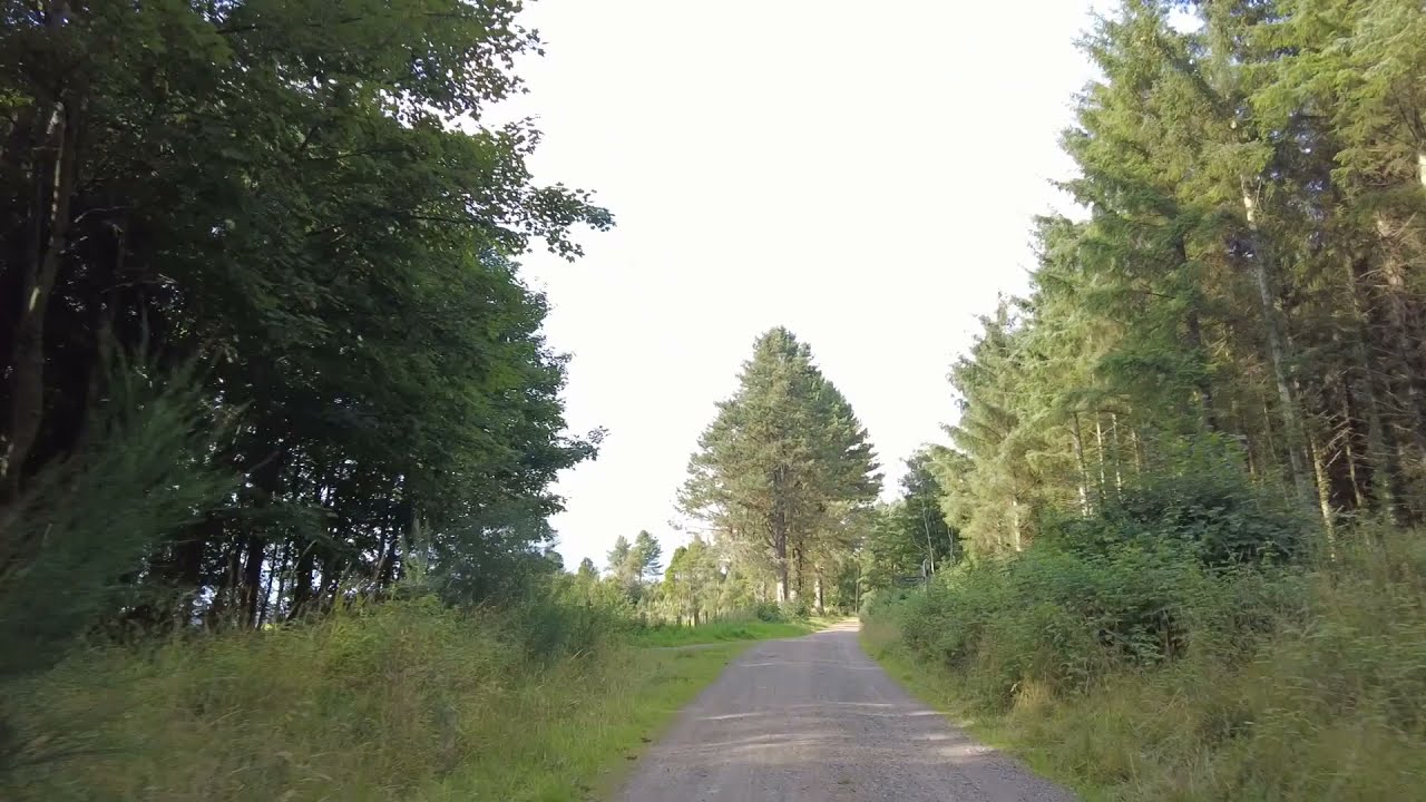 Tentsmuir Circular | Mountain Bike Riding | Fife | Scotland