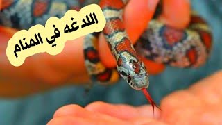 تفسير لدغه الثعبان في المنام