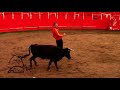 Capea Talento Castellano ( toros paco madrigal ).