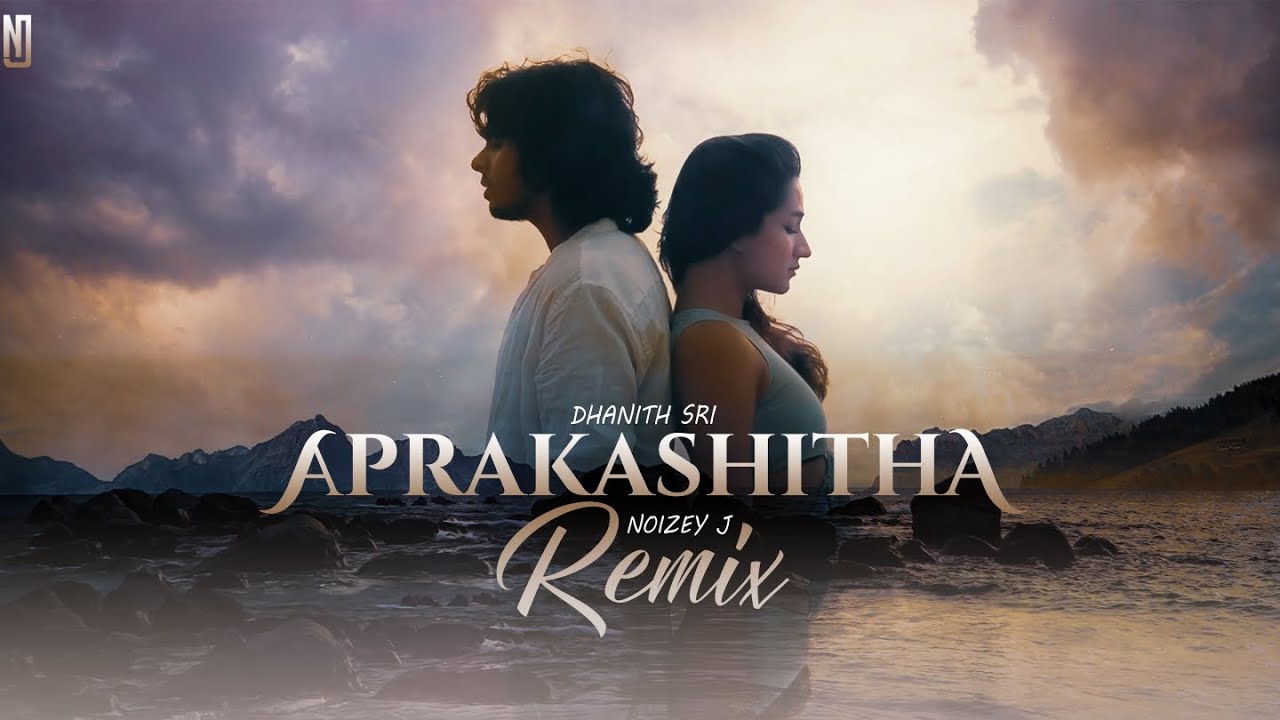 Aprakashitha (අප්‍රකාශිත) Remix | Dhanith Sri | NOIZEY J